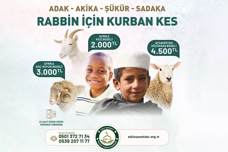 Yurtdışı Küçükbaş Kurban