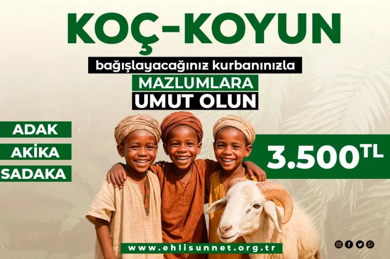 Afrika Koç - Koyun Kurbanı