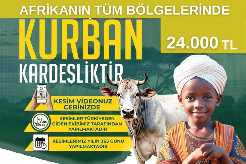 Afrika Büyükbaş Kurban