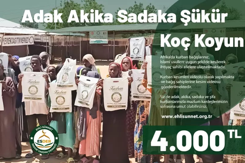 Afrika Koç - Koyun Kurbanı