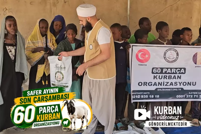 Koç Koyun 60 Parça
